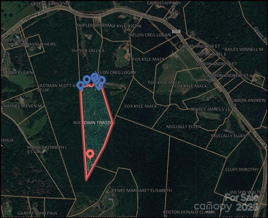 0 Big Level Road - Photo 6