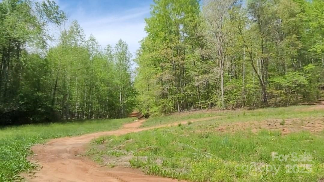 0 Big Level Road - Photo 7