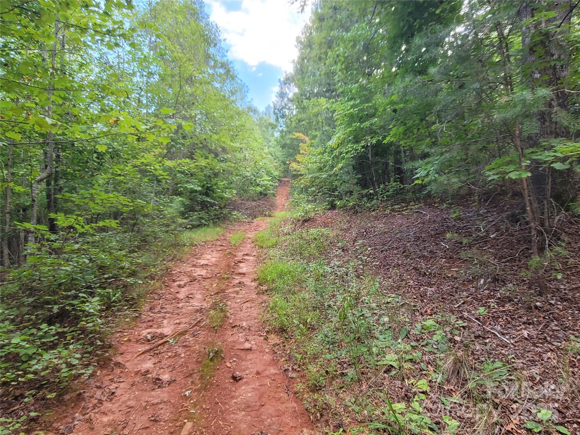 0 Big Level Road - Photo 10