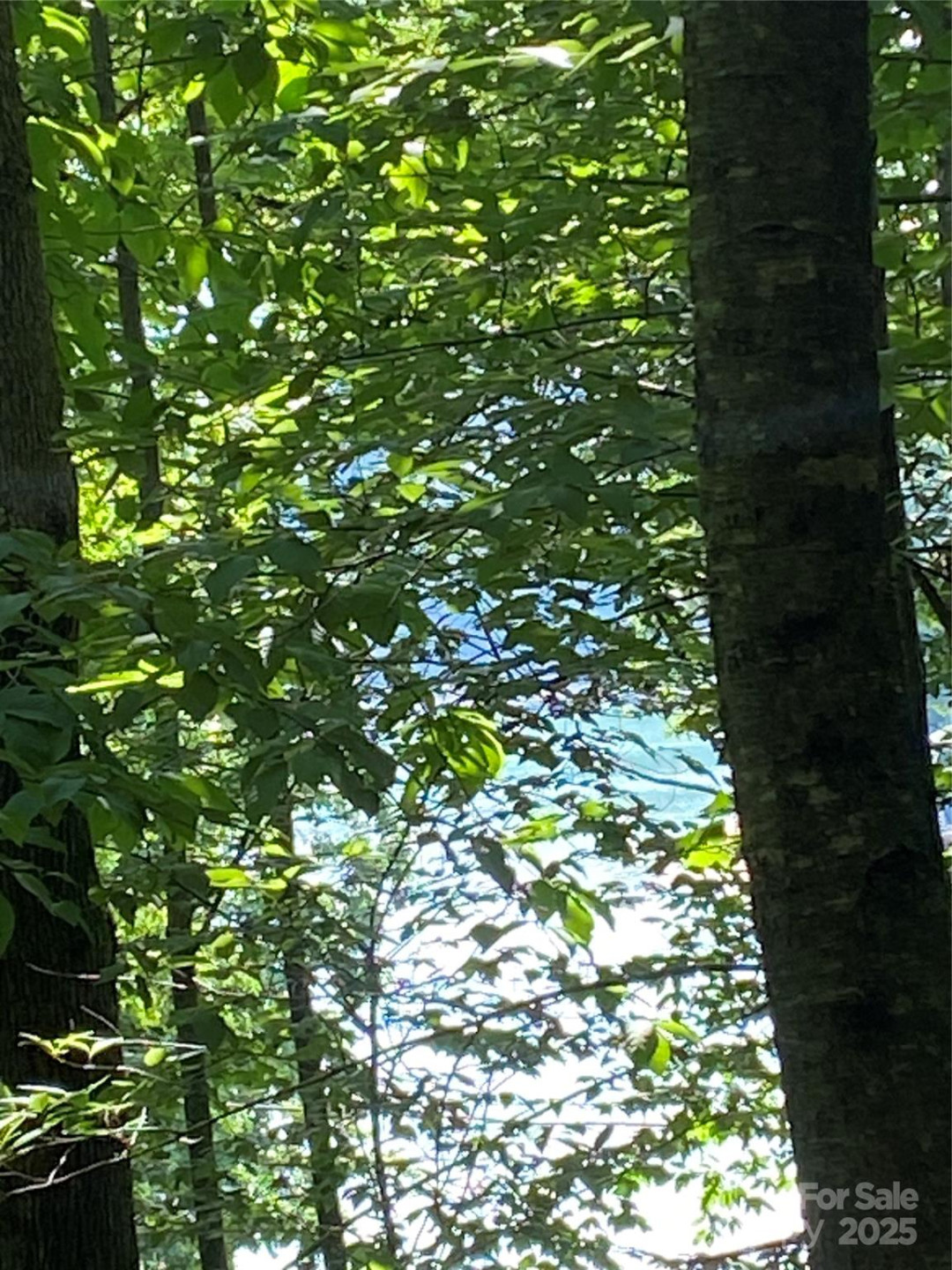 0 Falcons Avenue #12