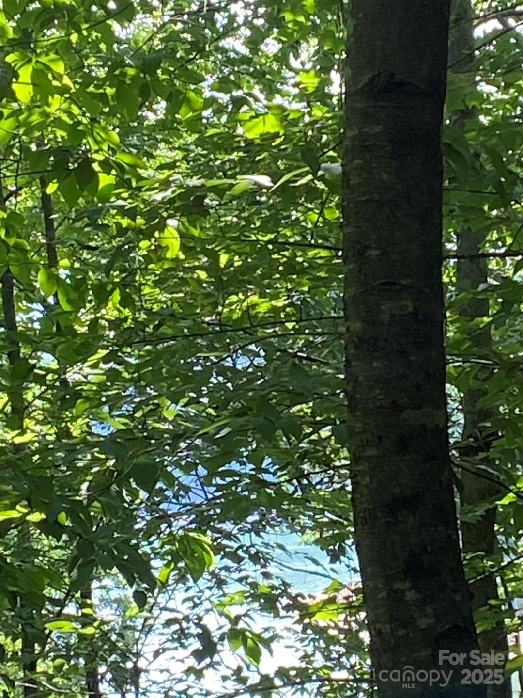 0 Falcons Avenue #12 - Photo 2