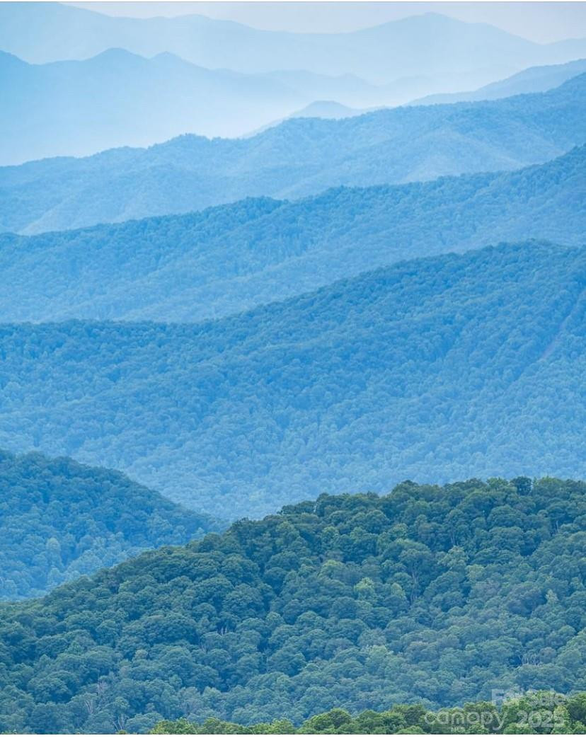 0 Falcons Avenue #12 - Photo 13