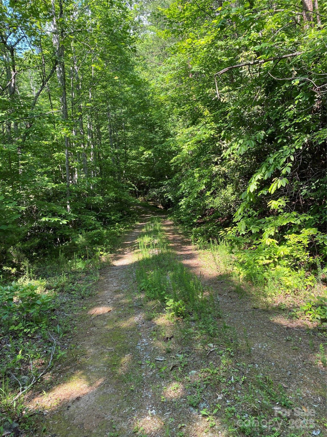 0 Falcons Avenue #12 - Photo 3