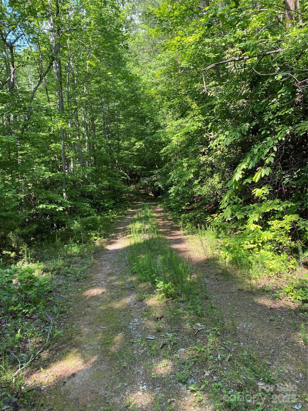 0 Falcons Avenue #12 - Photo 3