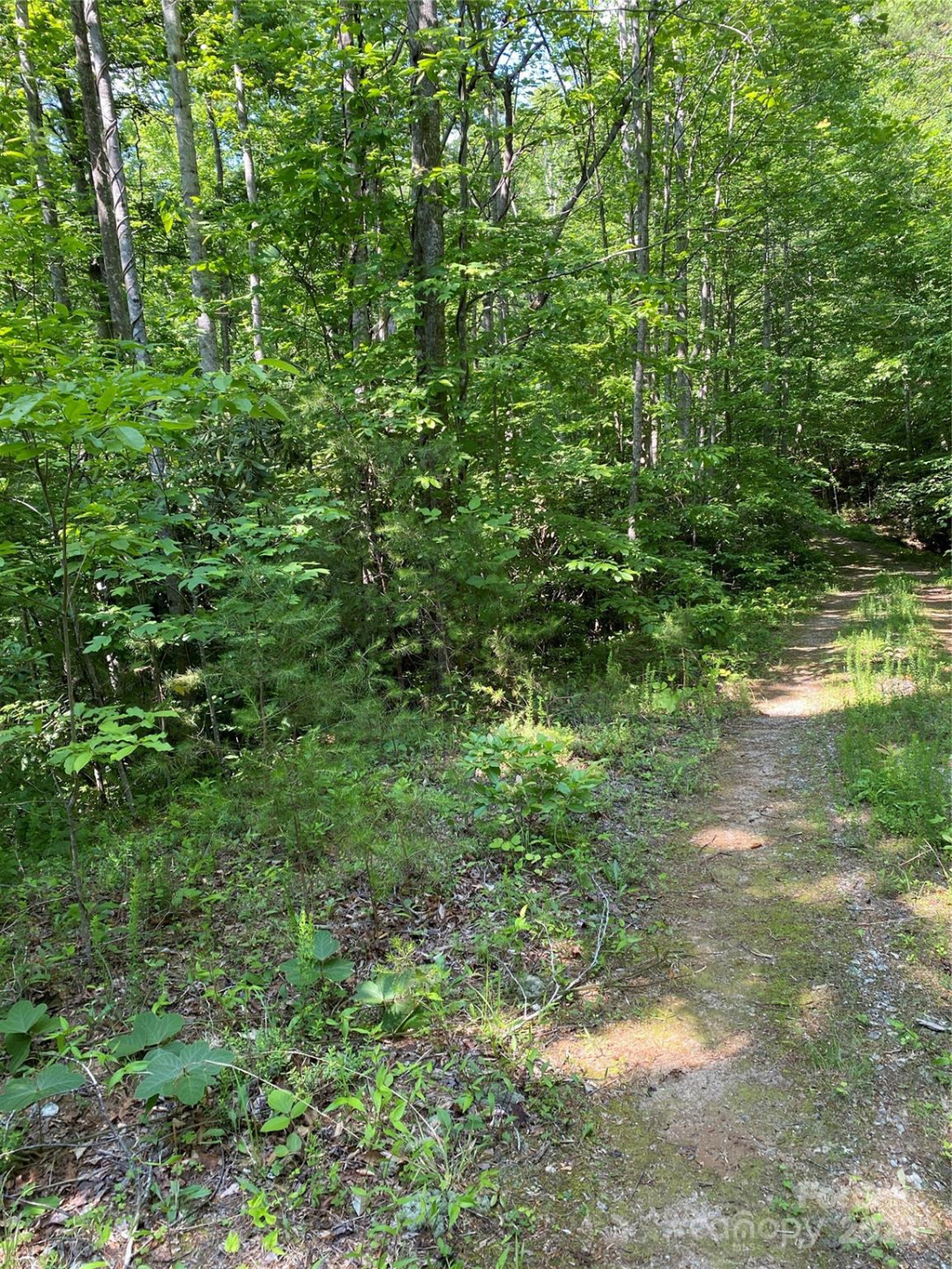 0 Falcons Avenue #12 - Photo 4