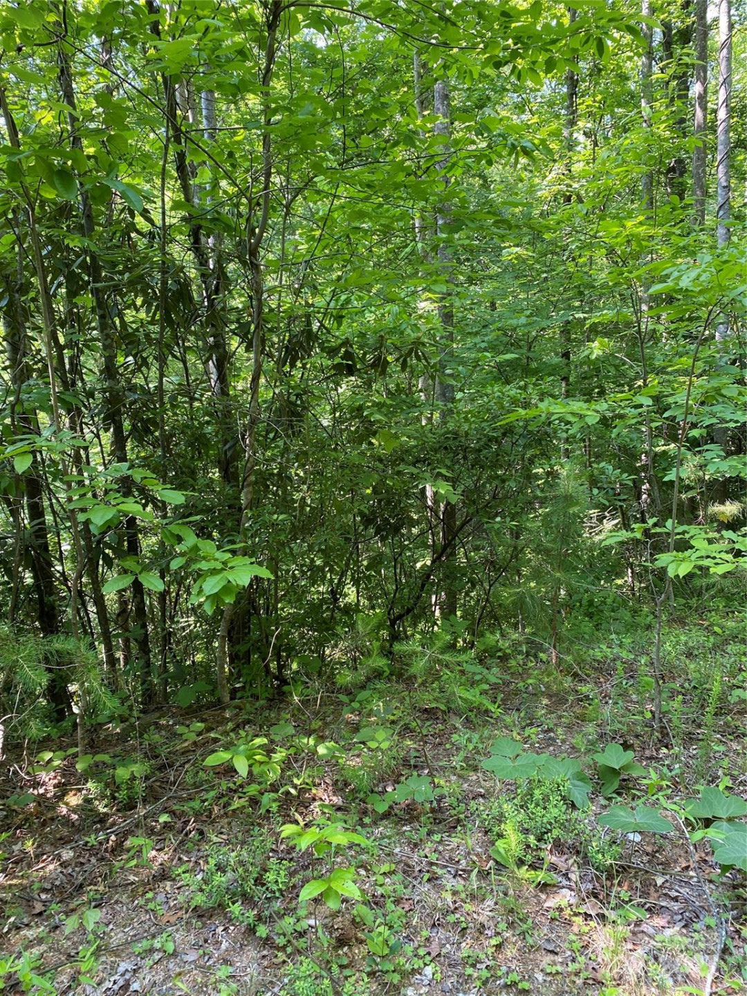 0 Falcons Avenue #12 - Photo 5