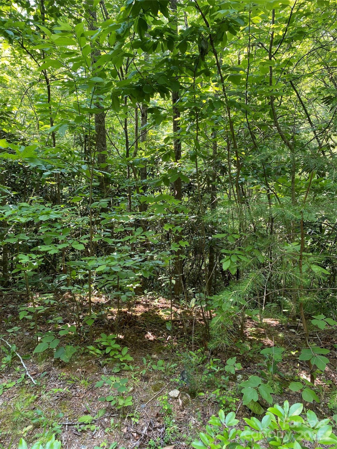 0 Falcons Avenue #12 - Photo 6