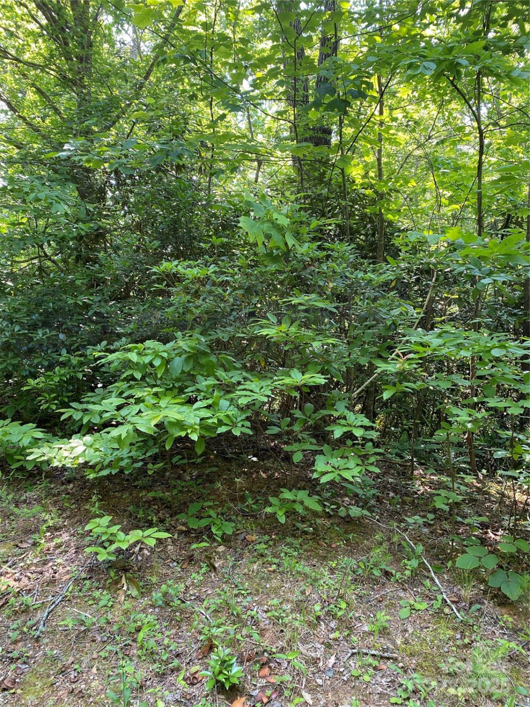 0 Falcons Avenue #12 - Photo 7