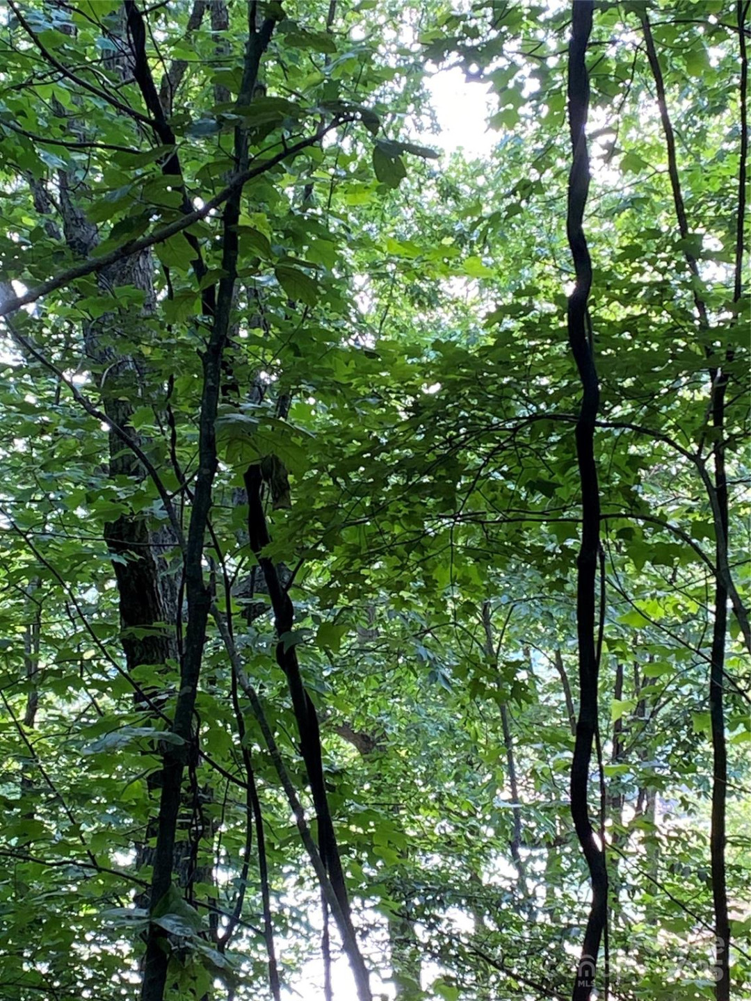 0 Falcons Avenue #12 - Photo 8