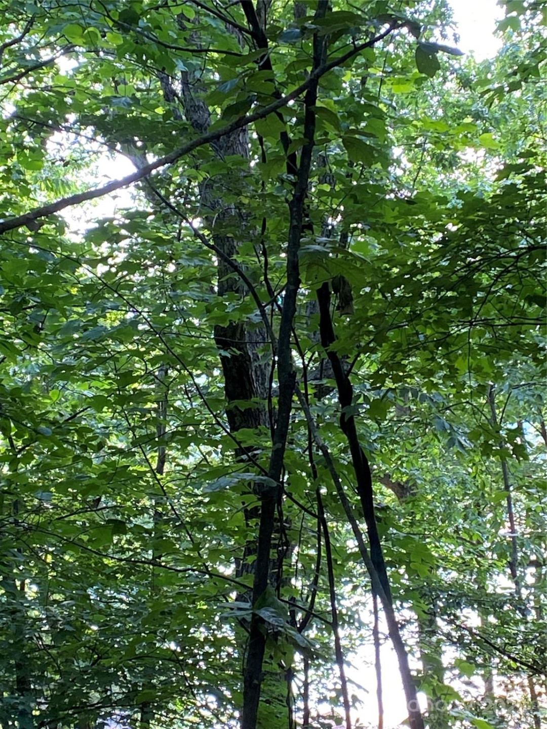 0 Falcons Avenue #12 - Photo 9