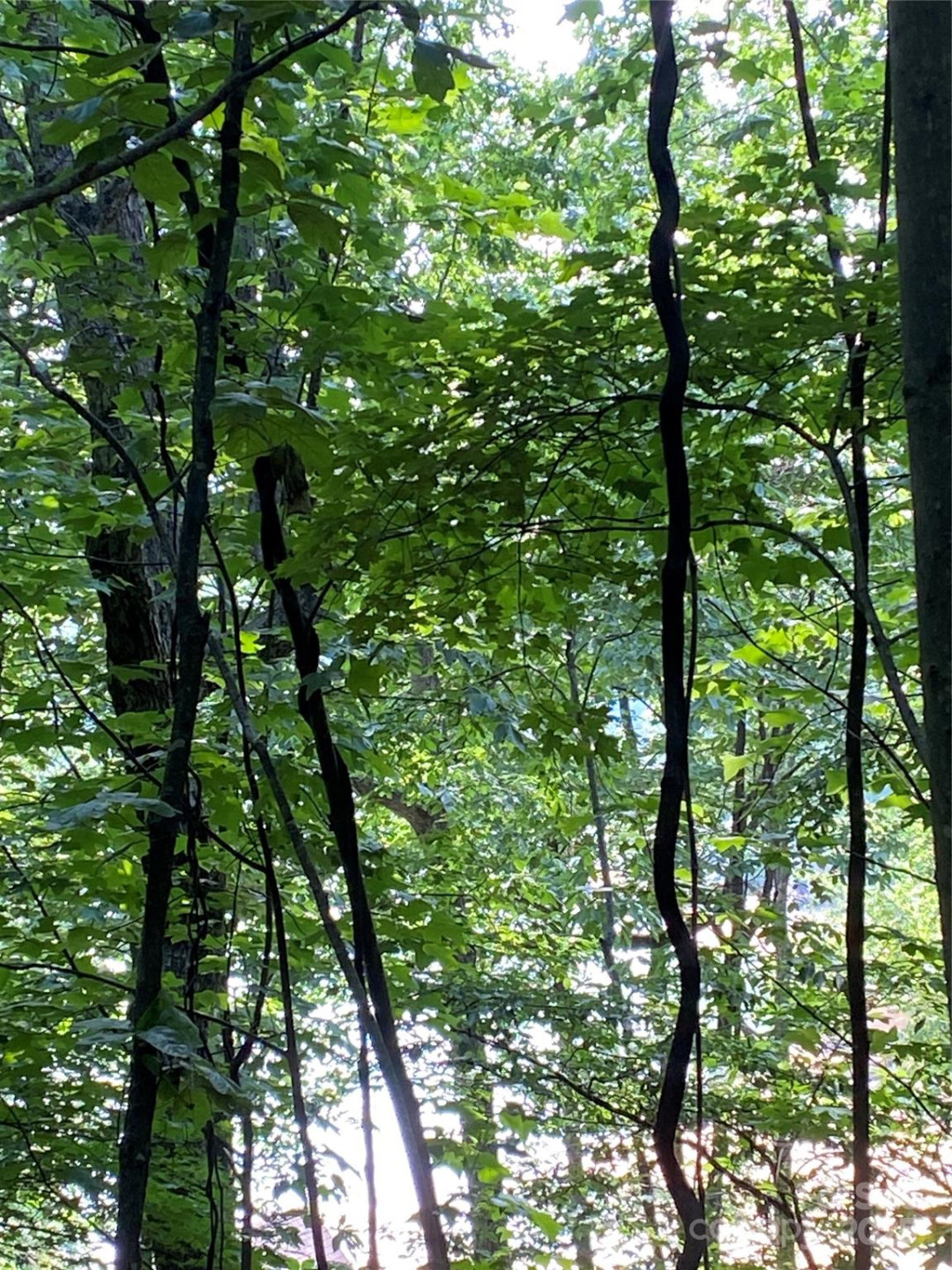 0 Falcons Avenue #12 - Photo 10