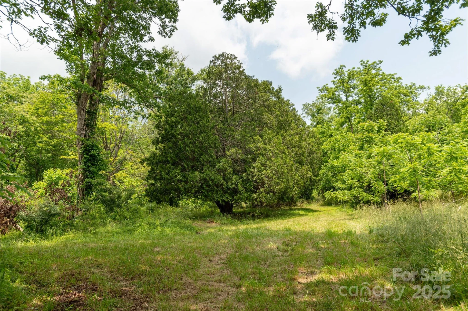 997 Tole Allison Road - Photo 11