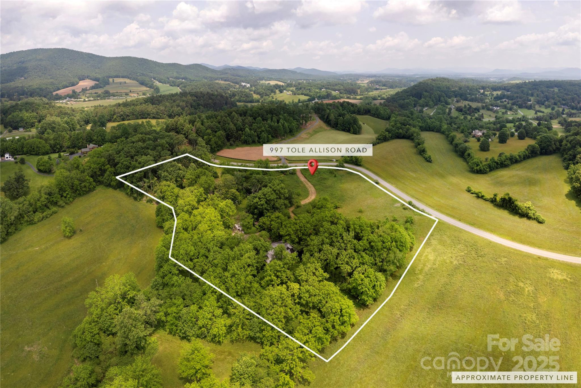 997 Tole Allison Road - Photo 3