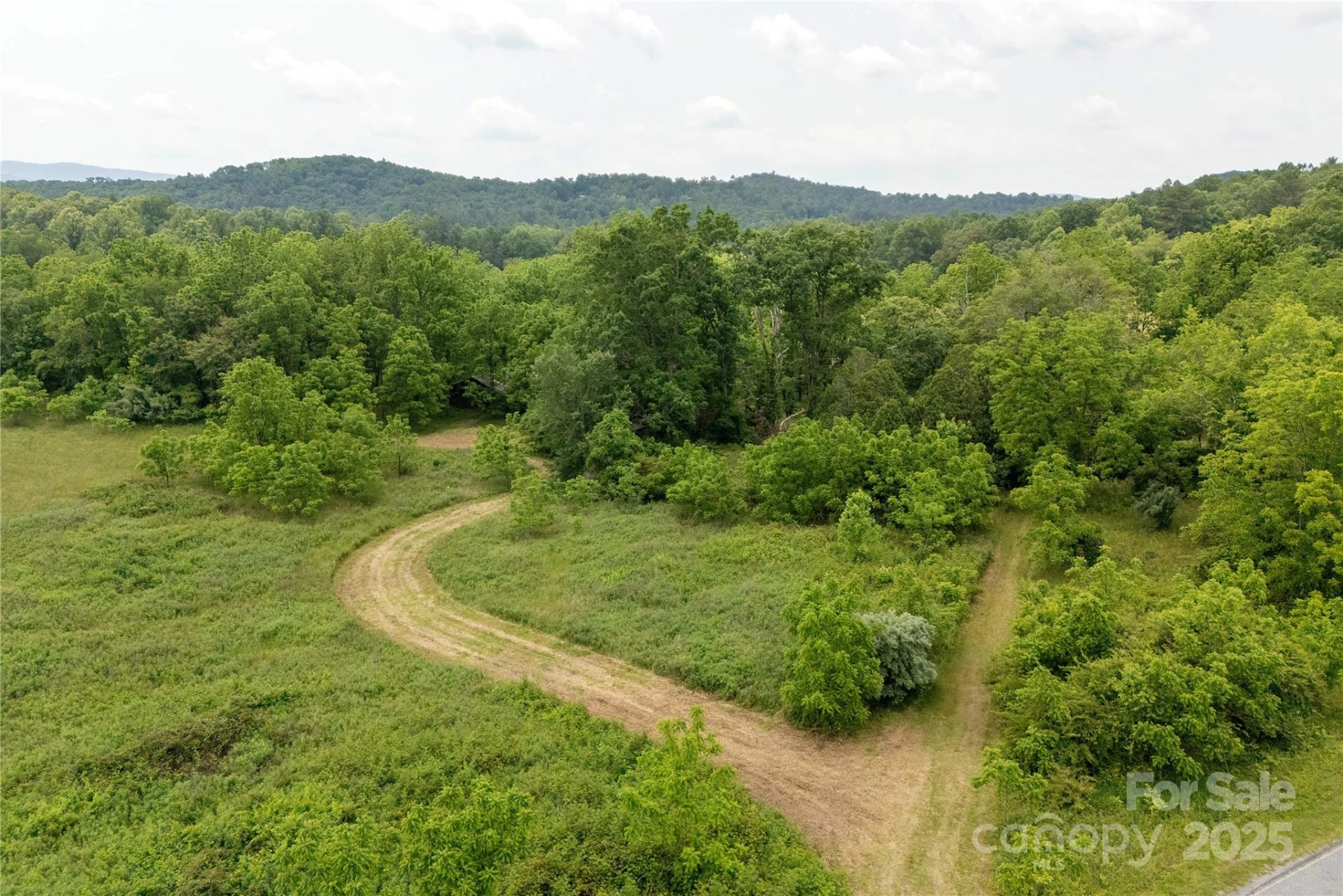 997 Tole Allison Road - Photo 4