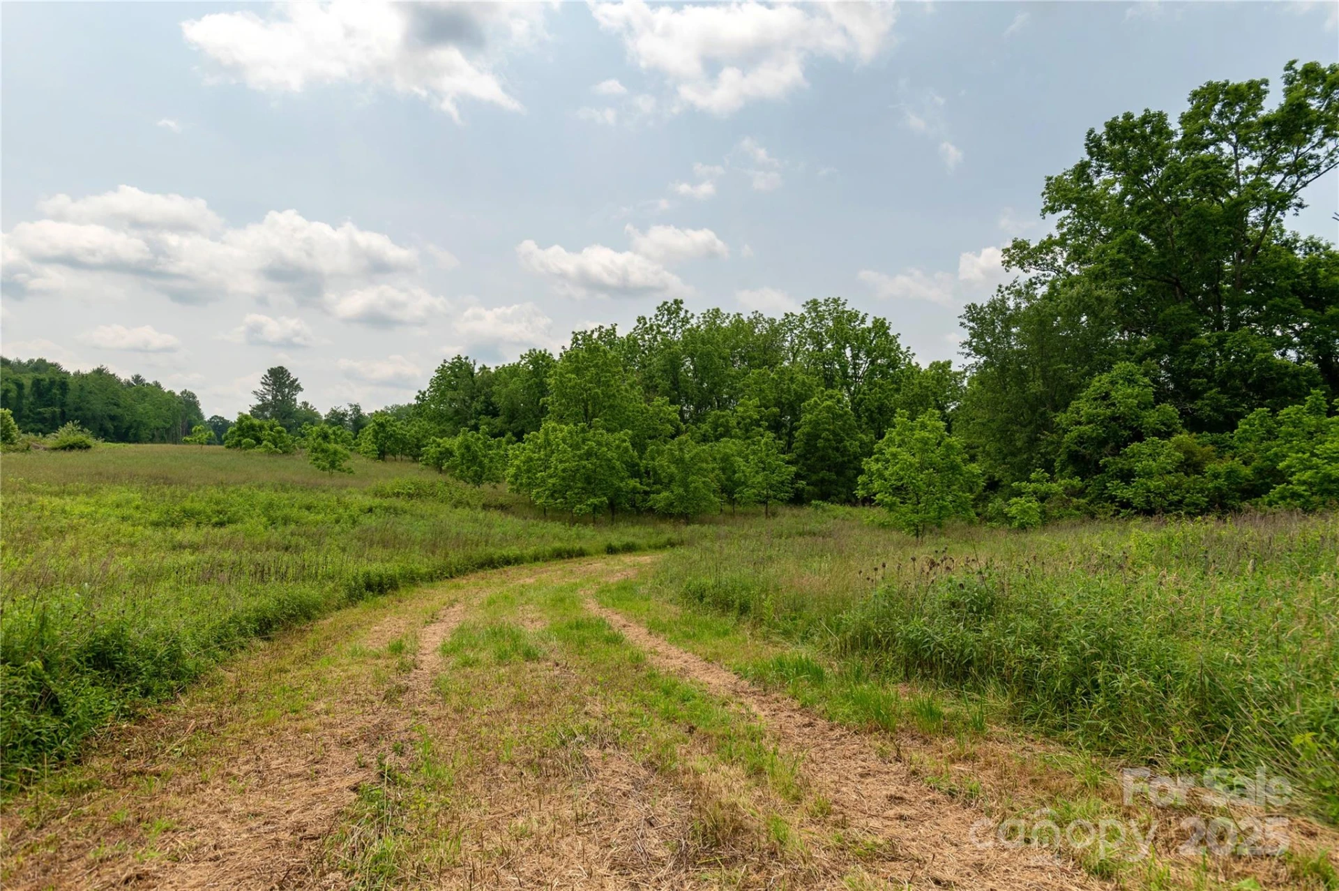 997 Tole Allison Road - Photo 5