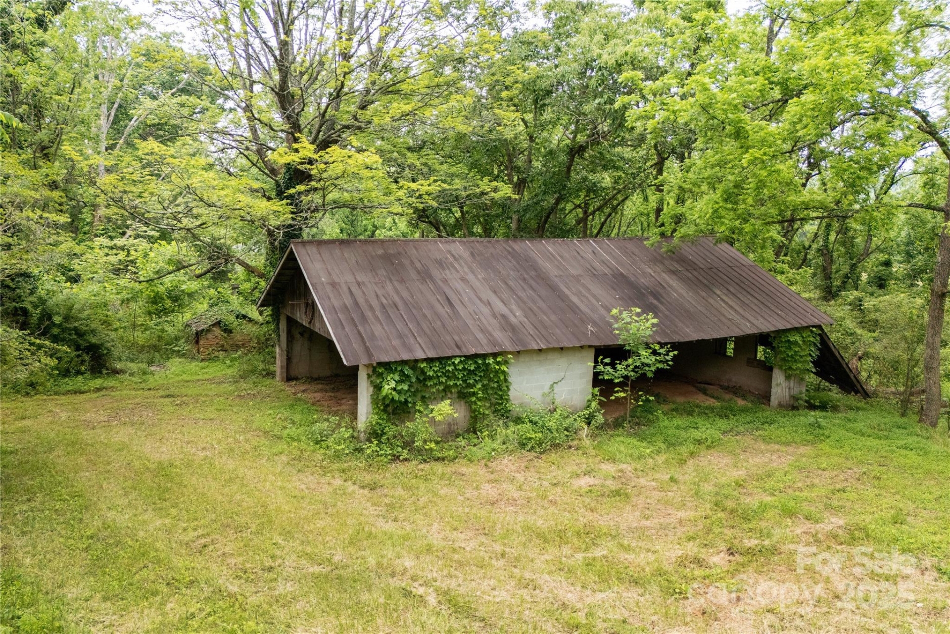 997 Tole Allison Road - Photo 6