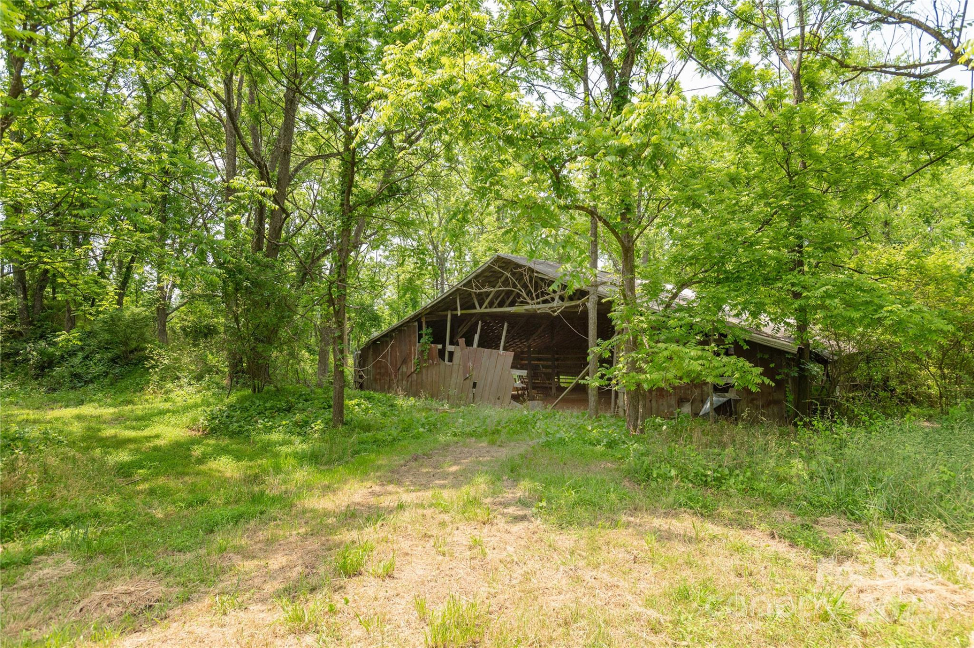 997 Tole Allison Road - Photo 7