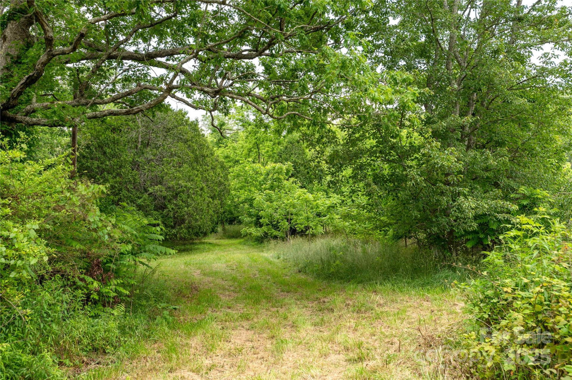 997 Tole Allison Road - Photo 9