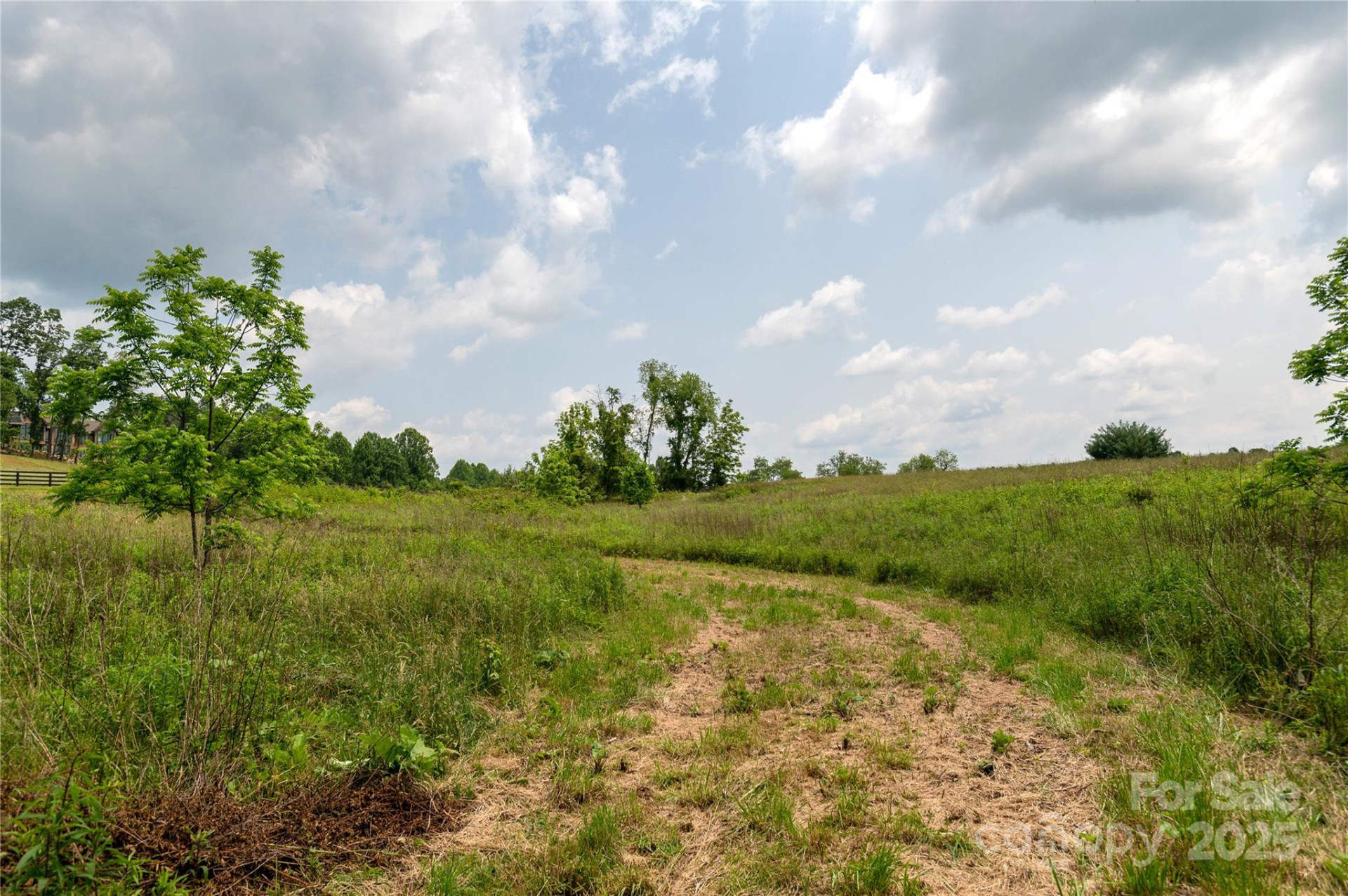 997 Tole Allison Road - Photo 10