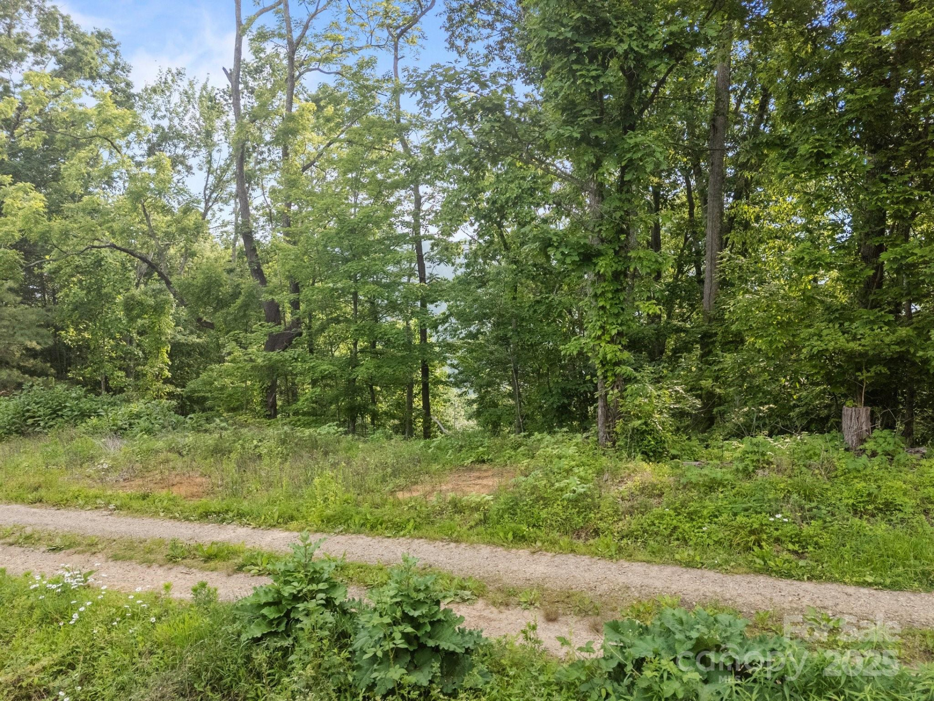 00 Granny Shepherd Road - Photo 2