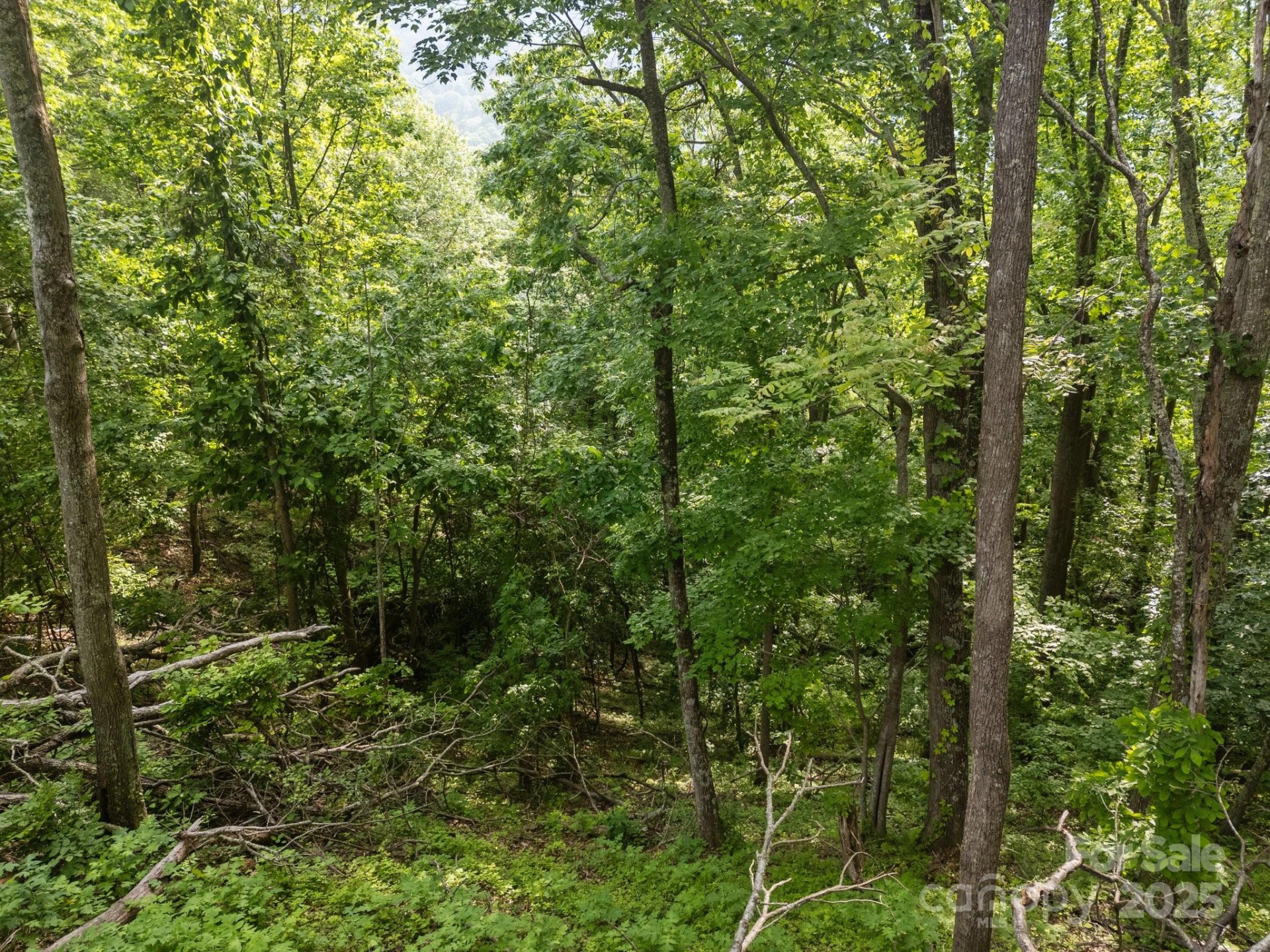 00 Granny Shepherd Road - Photo 3