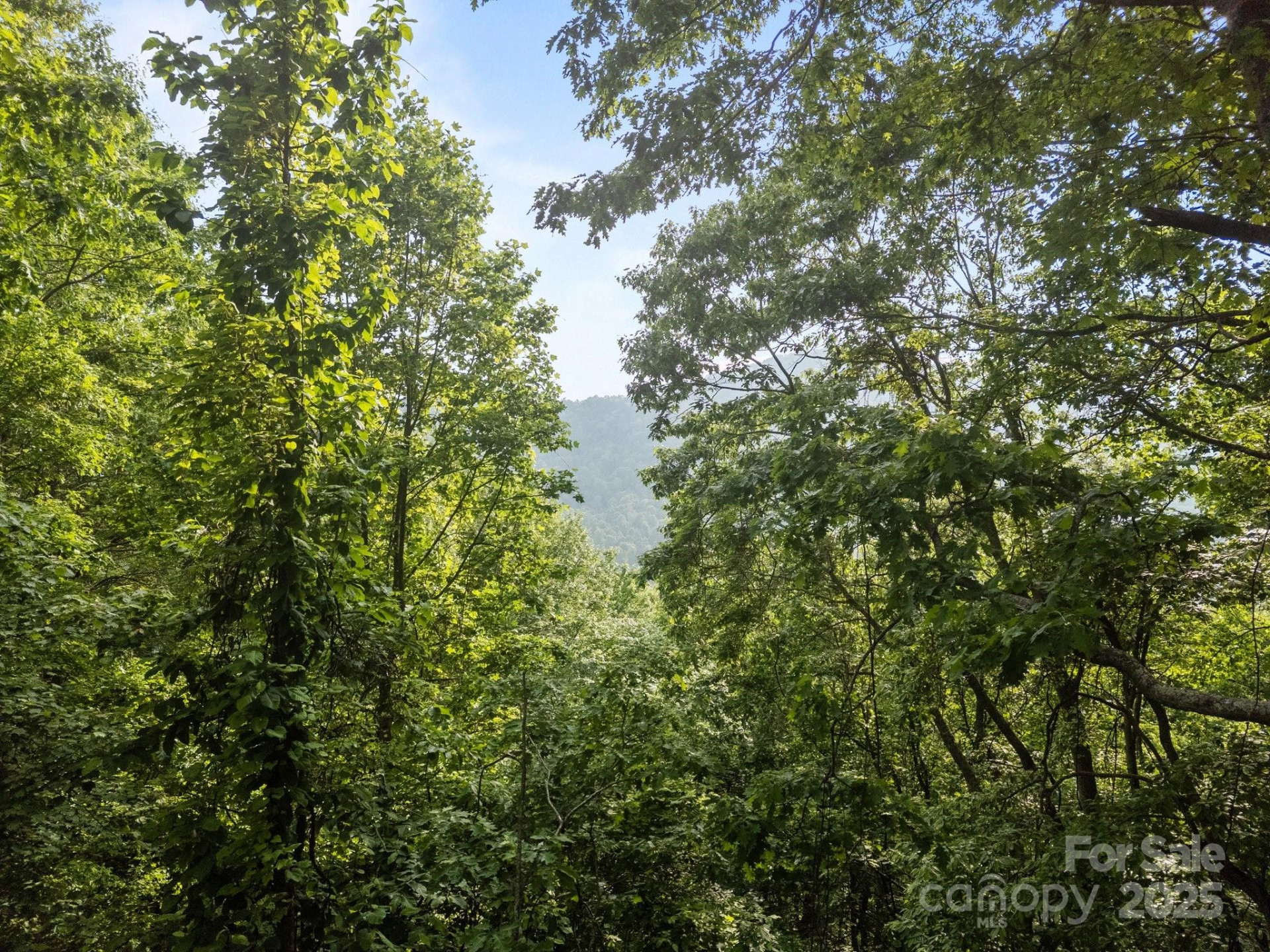 00 Granny Shepherd Road - Photo 4