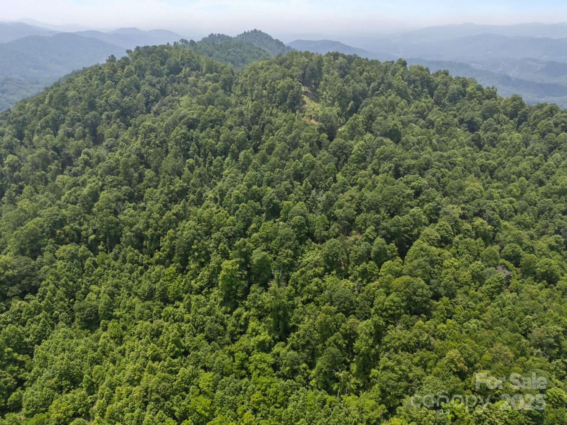 55 Red Wolf Run - Photo 13