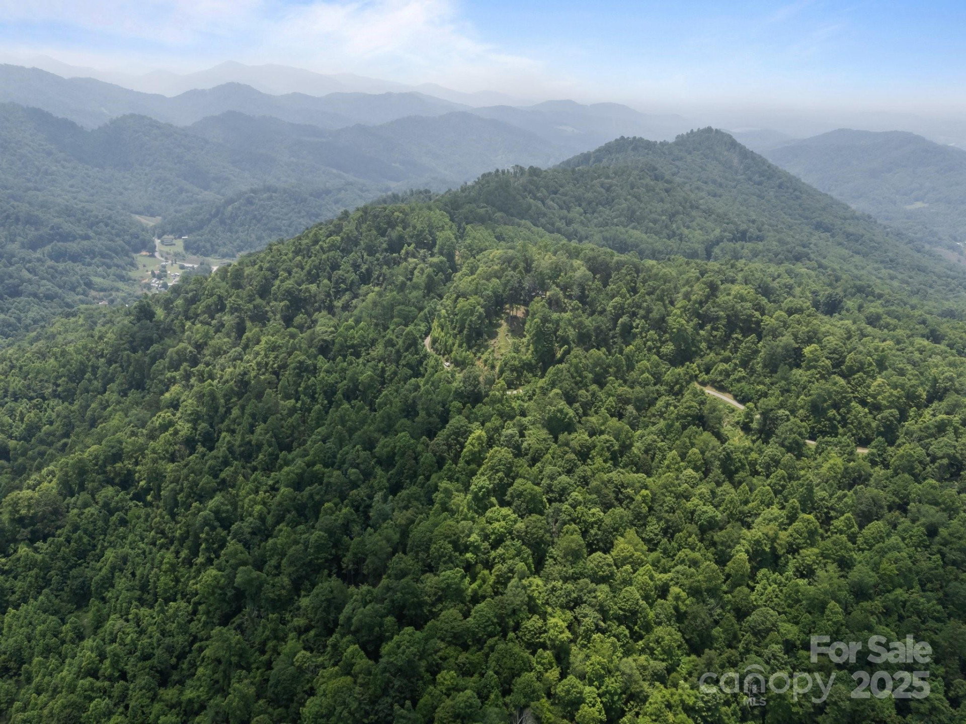 55 Red Wolf Run - Photo 3