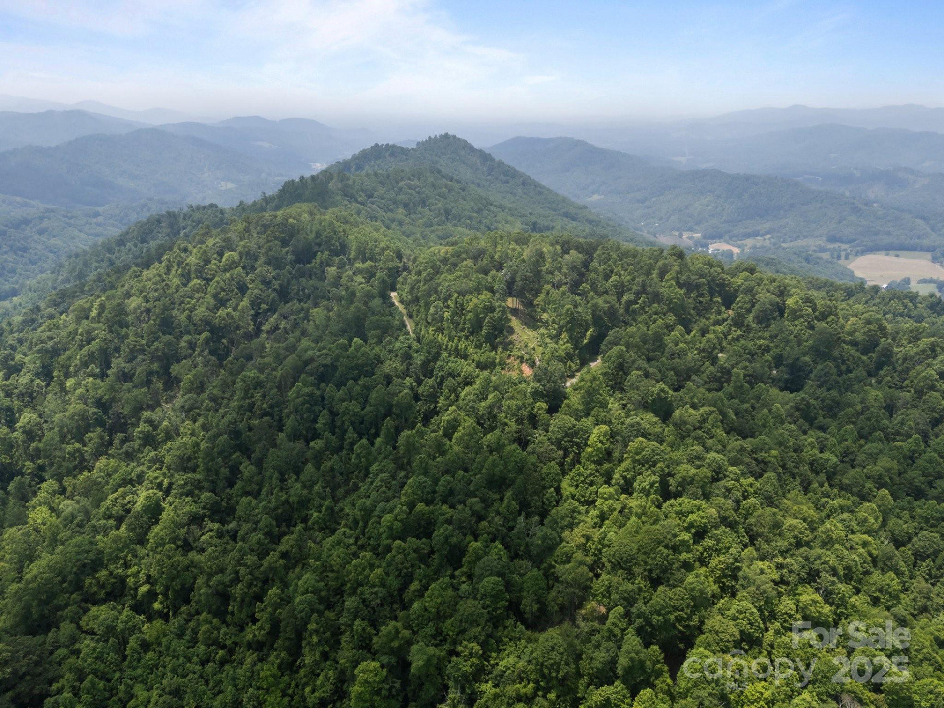 55 Red Wolf Run - Photo 4