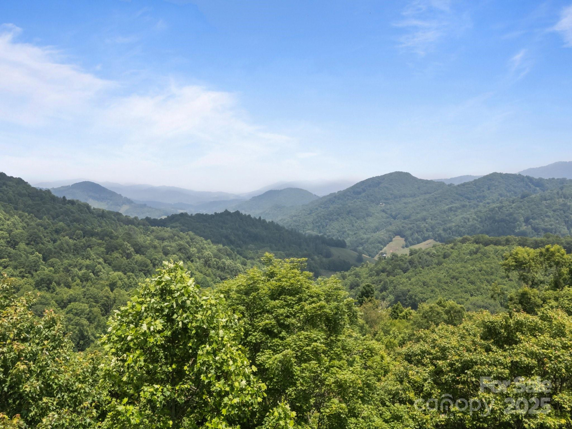 55 Red Wolf Run - Photo 5