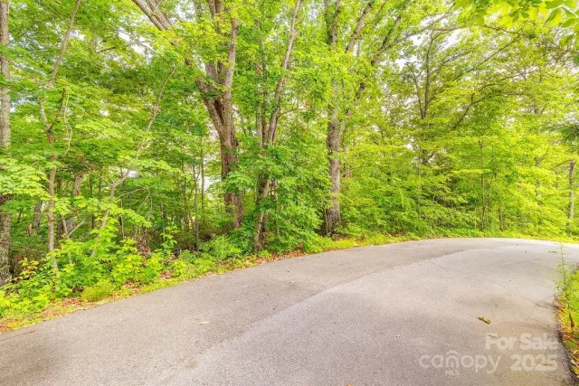99999 Pheasant Ridge Road, Fairview, NC, 28730