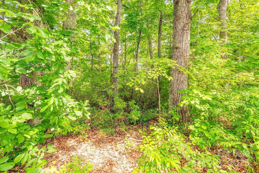 99999 Pheasant Ridge Road #14 - Photo 4