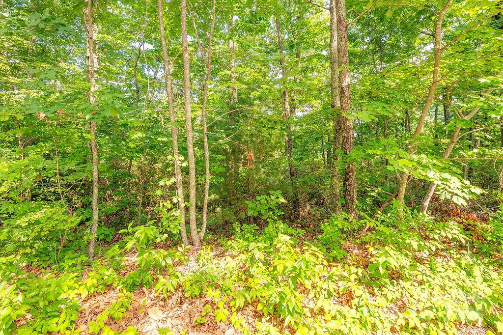 99999 Pheasant Ridge Road #14 - Photo 5