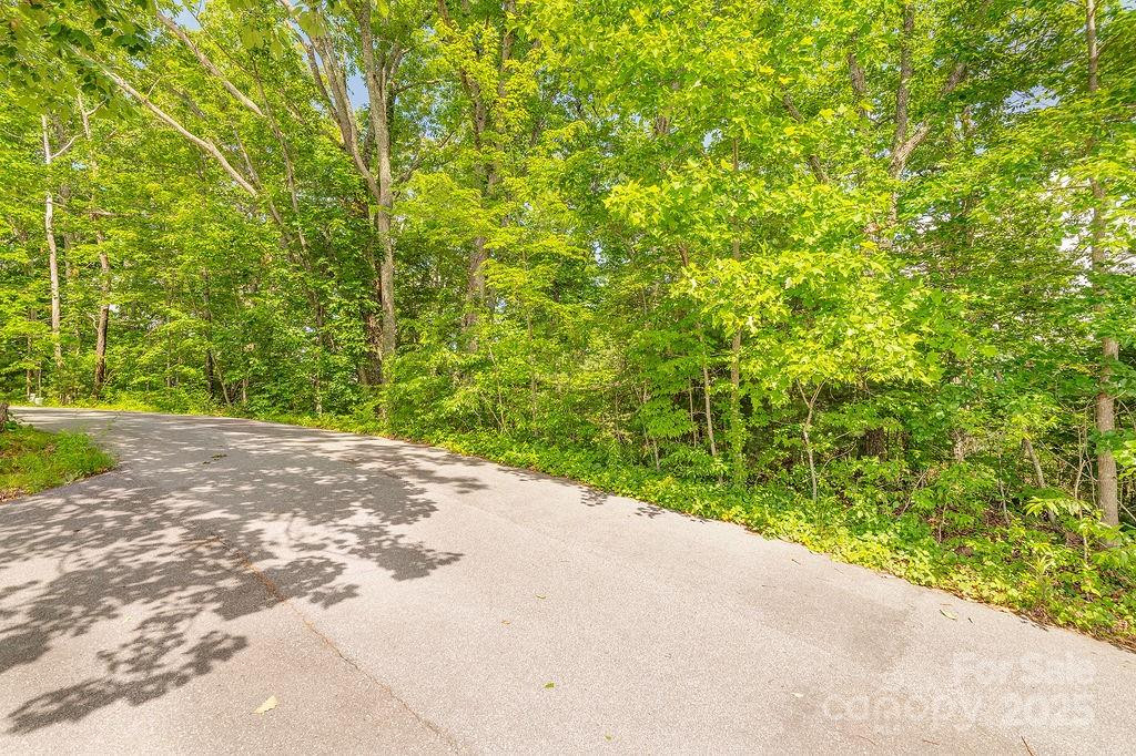 99999 Pheasant Ridge Road #14 - Photo 6