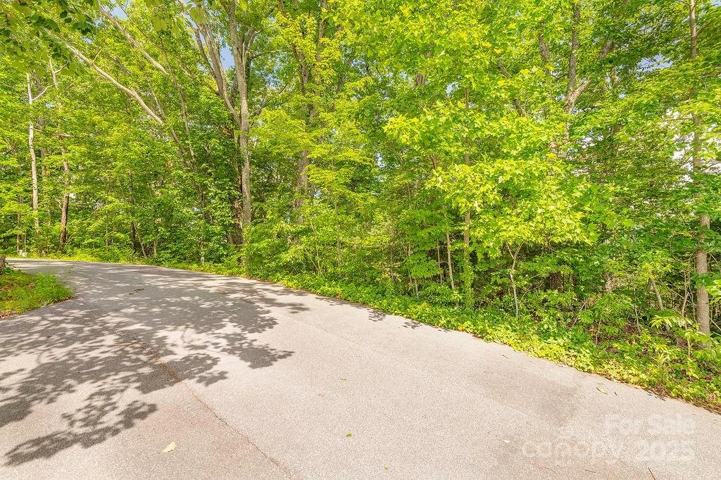 99999 Pheasant Ridge Road #14 - Photo 6