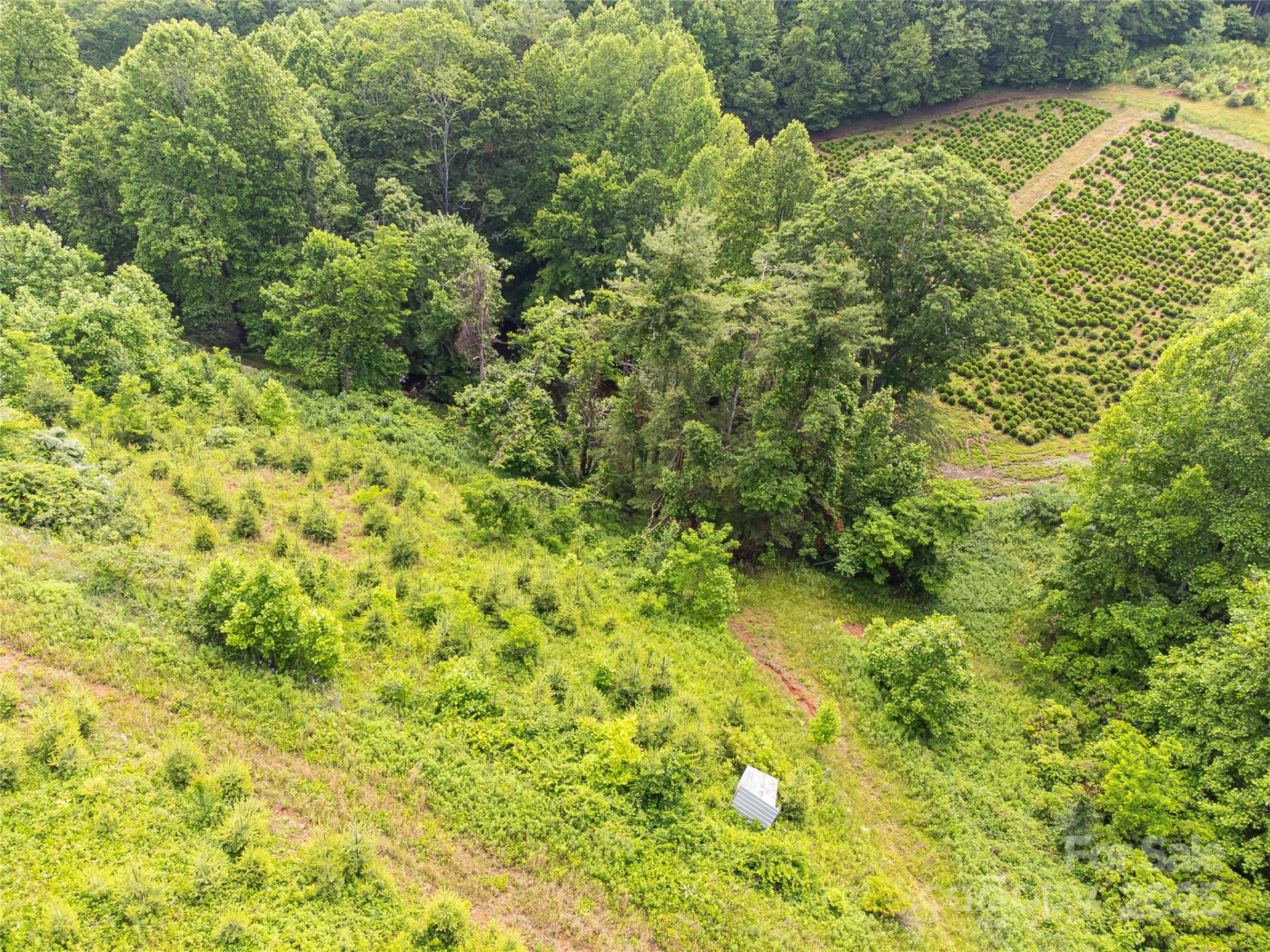 TBD Finch Lane - Photo 12