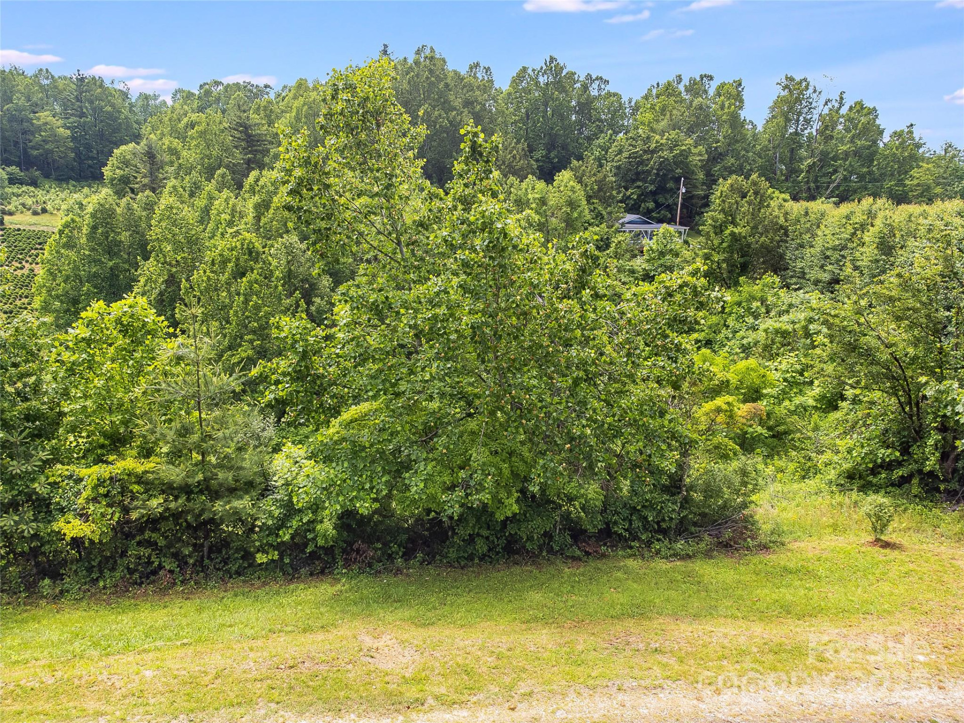 TBD Finch Lane - Photo 13