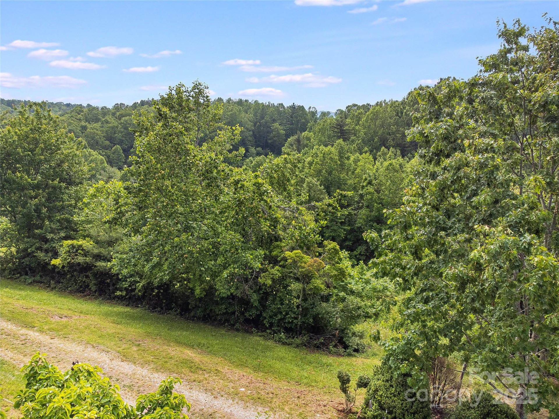 TBD Finch Lane - Photo 14