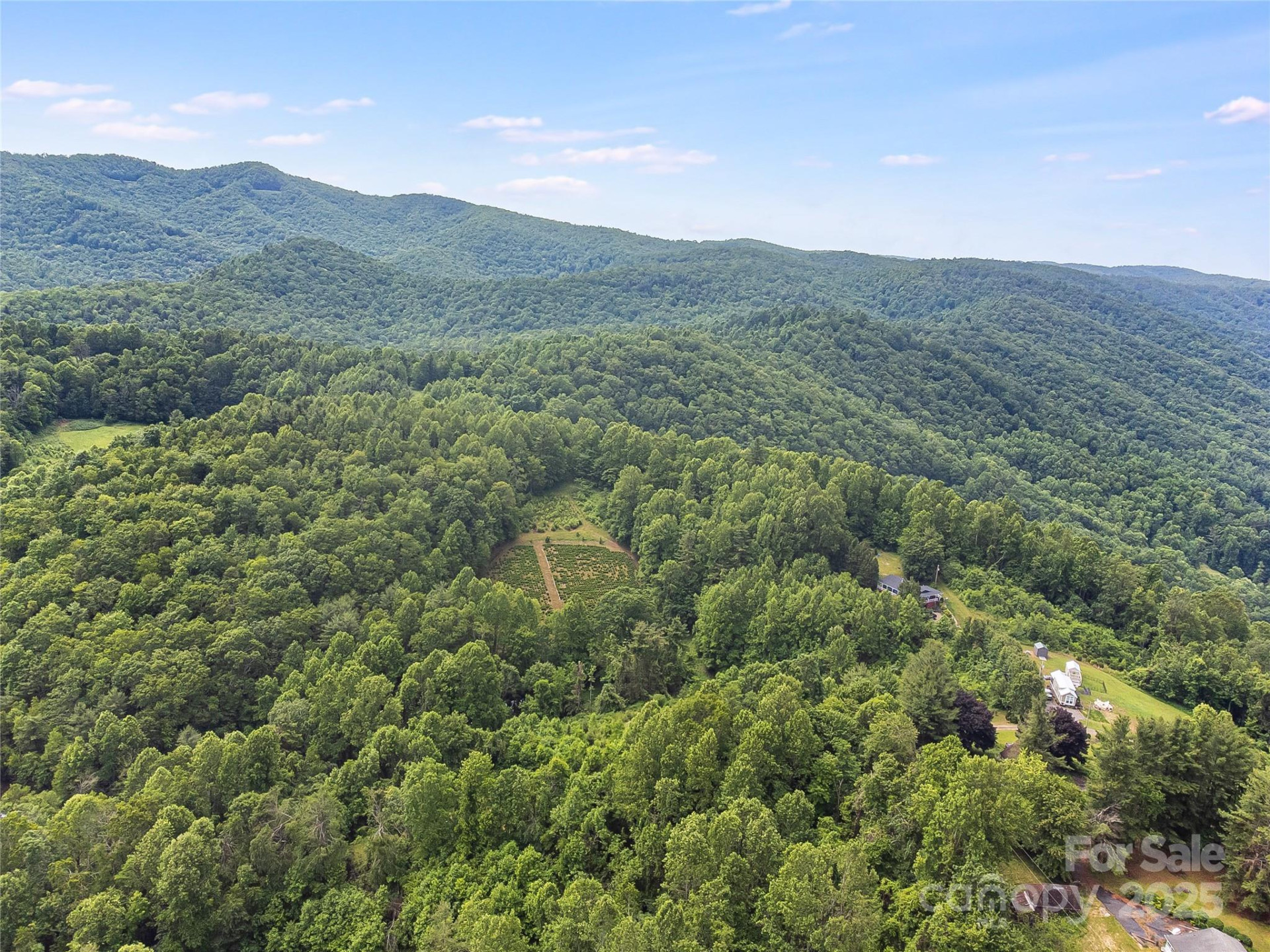 TBD Finch Lane - Photo 19