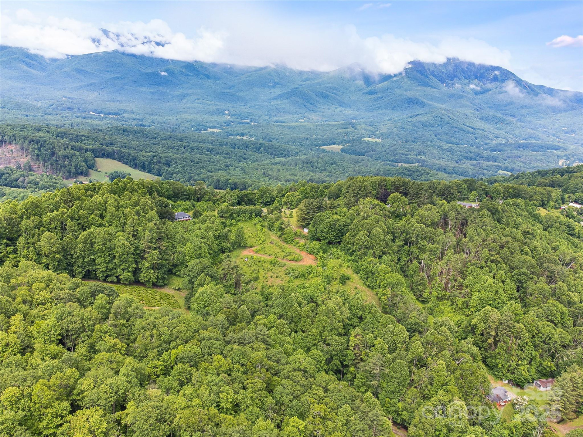 TBD Finch Lane - Photo 21