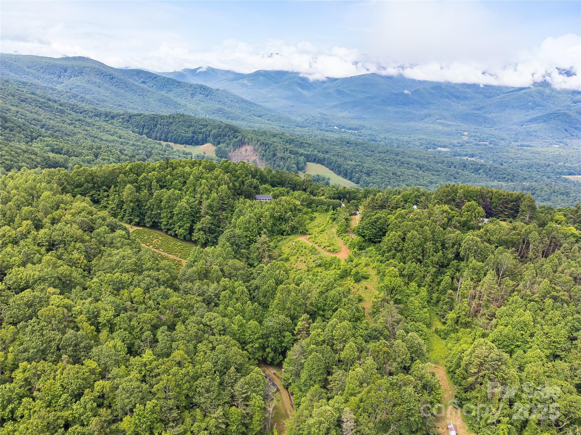 TBD Finch Lane - Photo 22