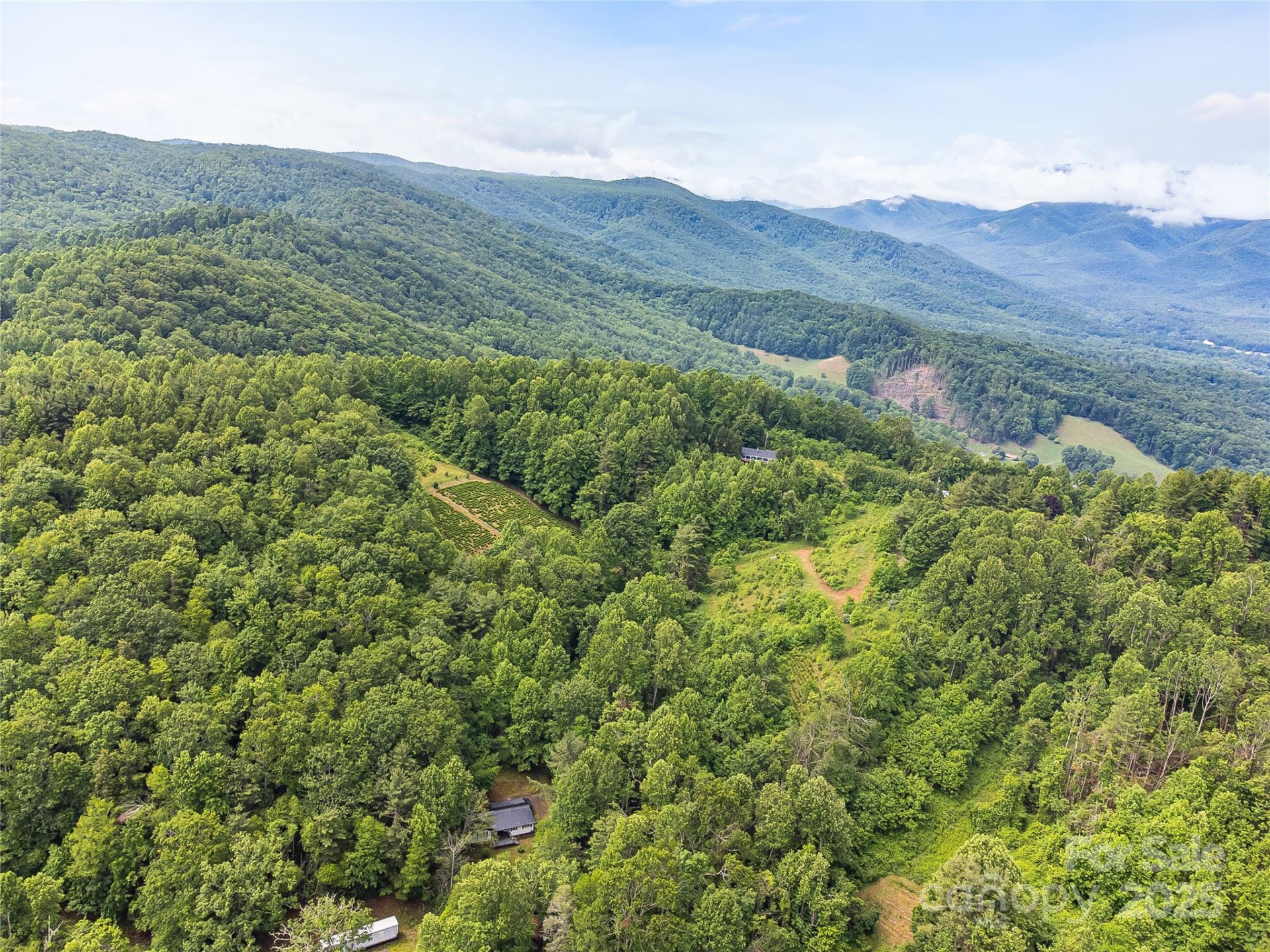 TBD Finch Lane - Photo 23