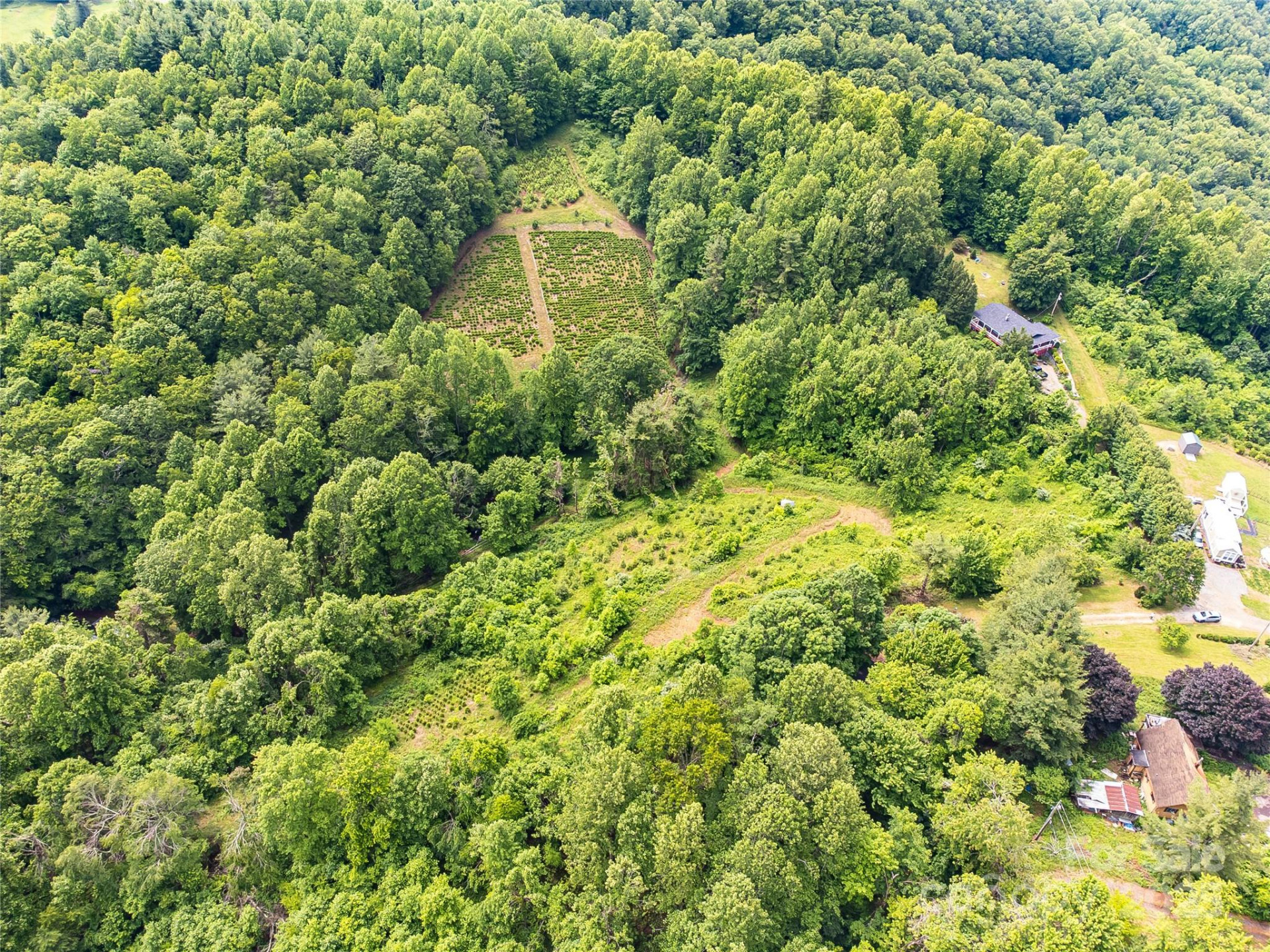 TBD Finch Lane - Photo 29