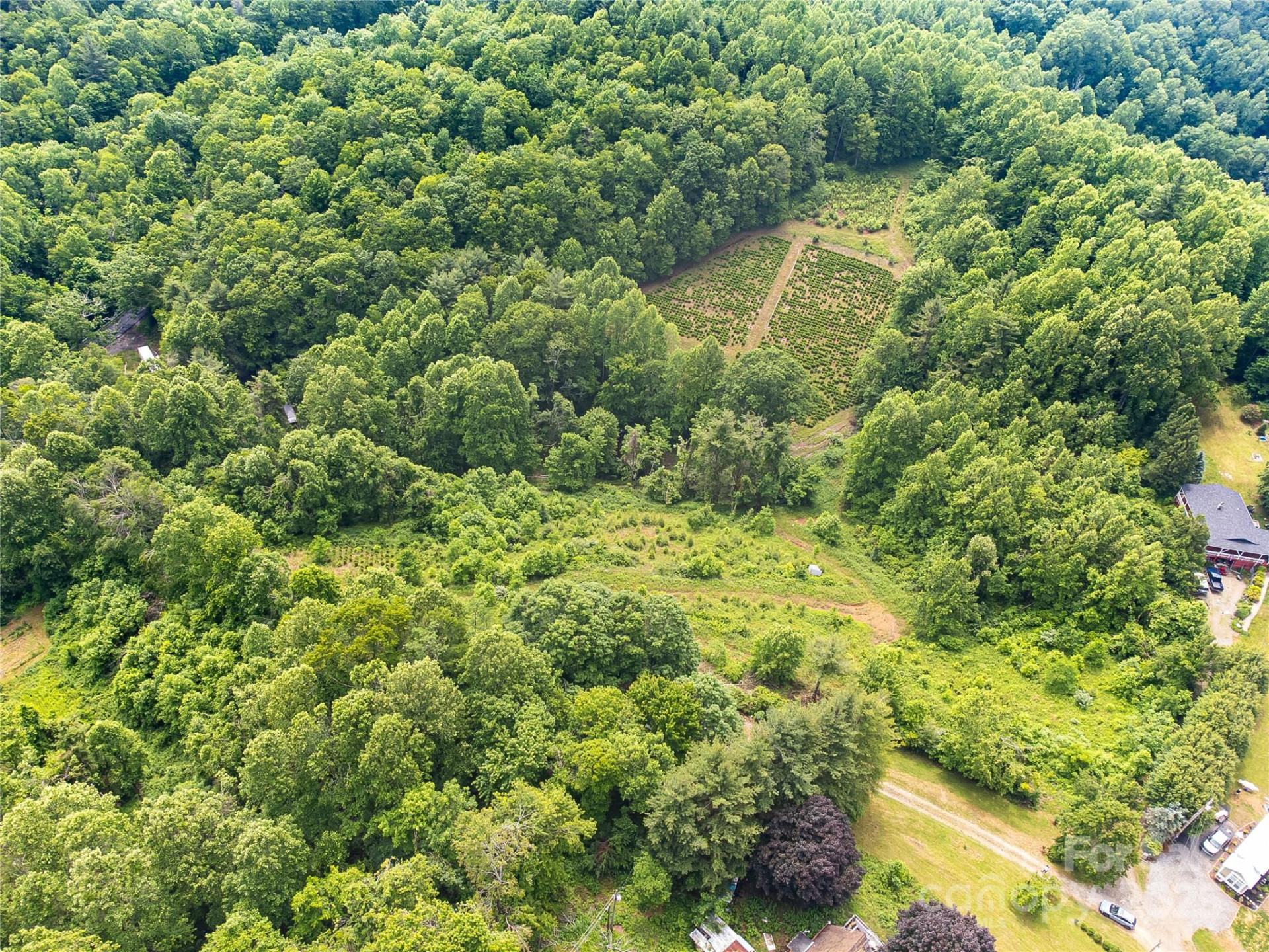 TBD Finch Lane - Photo 30