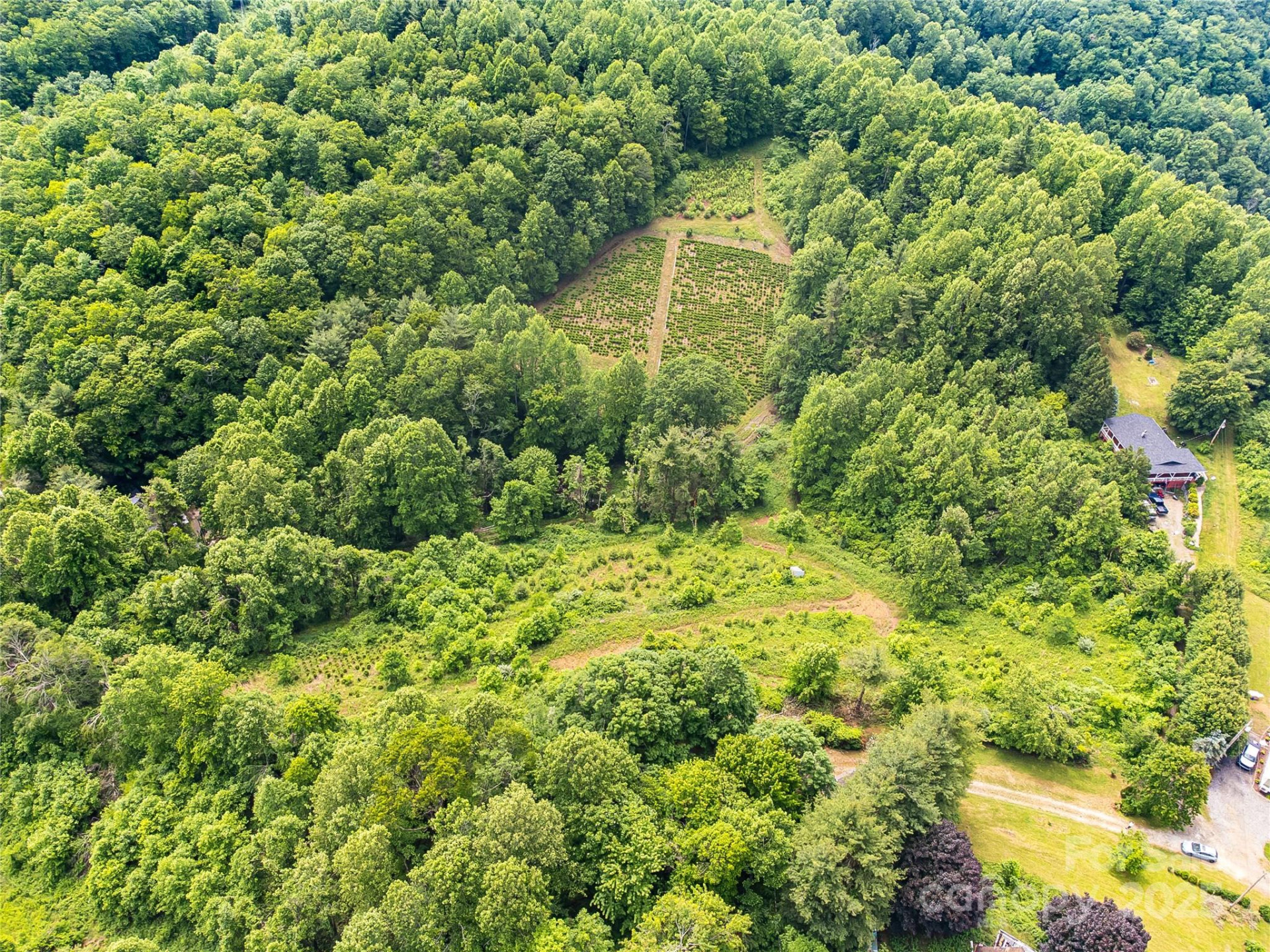 TBD Finch Lane - Photo 31