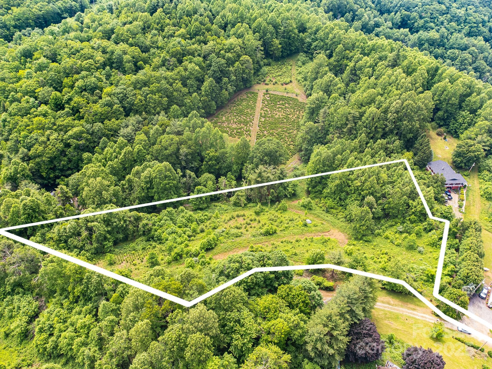 TBD Finch Lane - Photo 7