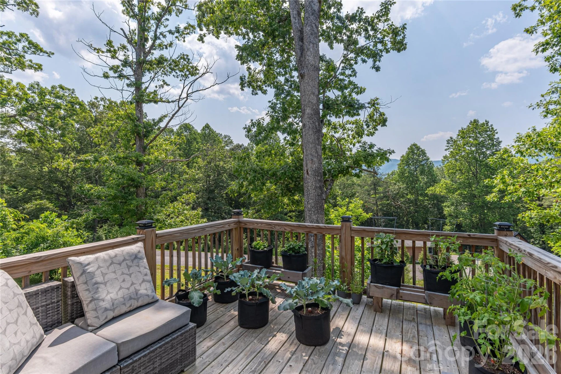17 Baxter Woods Lane - Photo 13