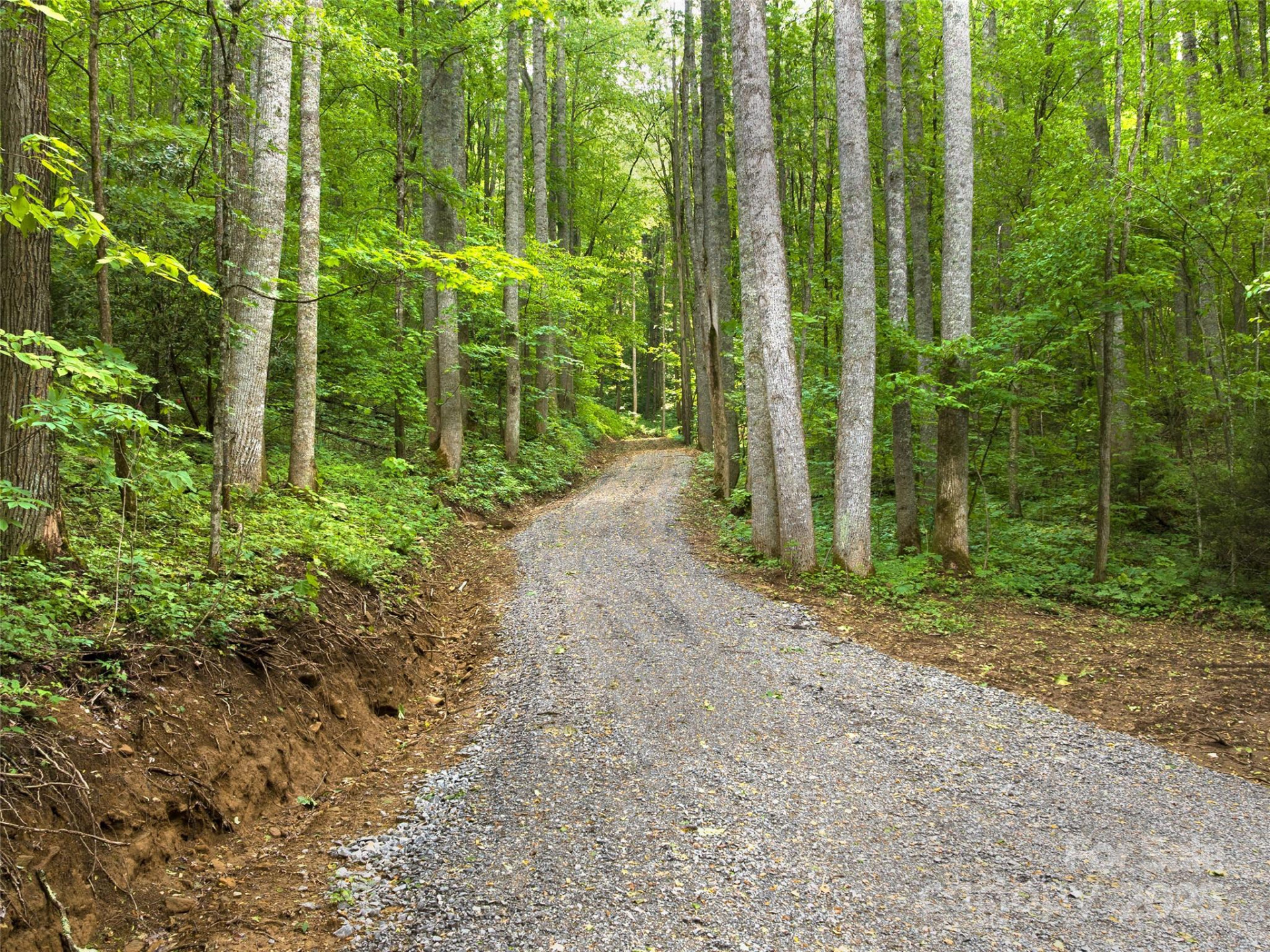 23 Forbidden Cove - Photo 2