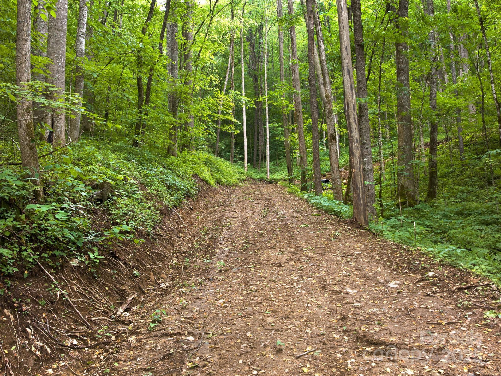 23 Forbidden Cove - Photo 3