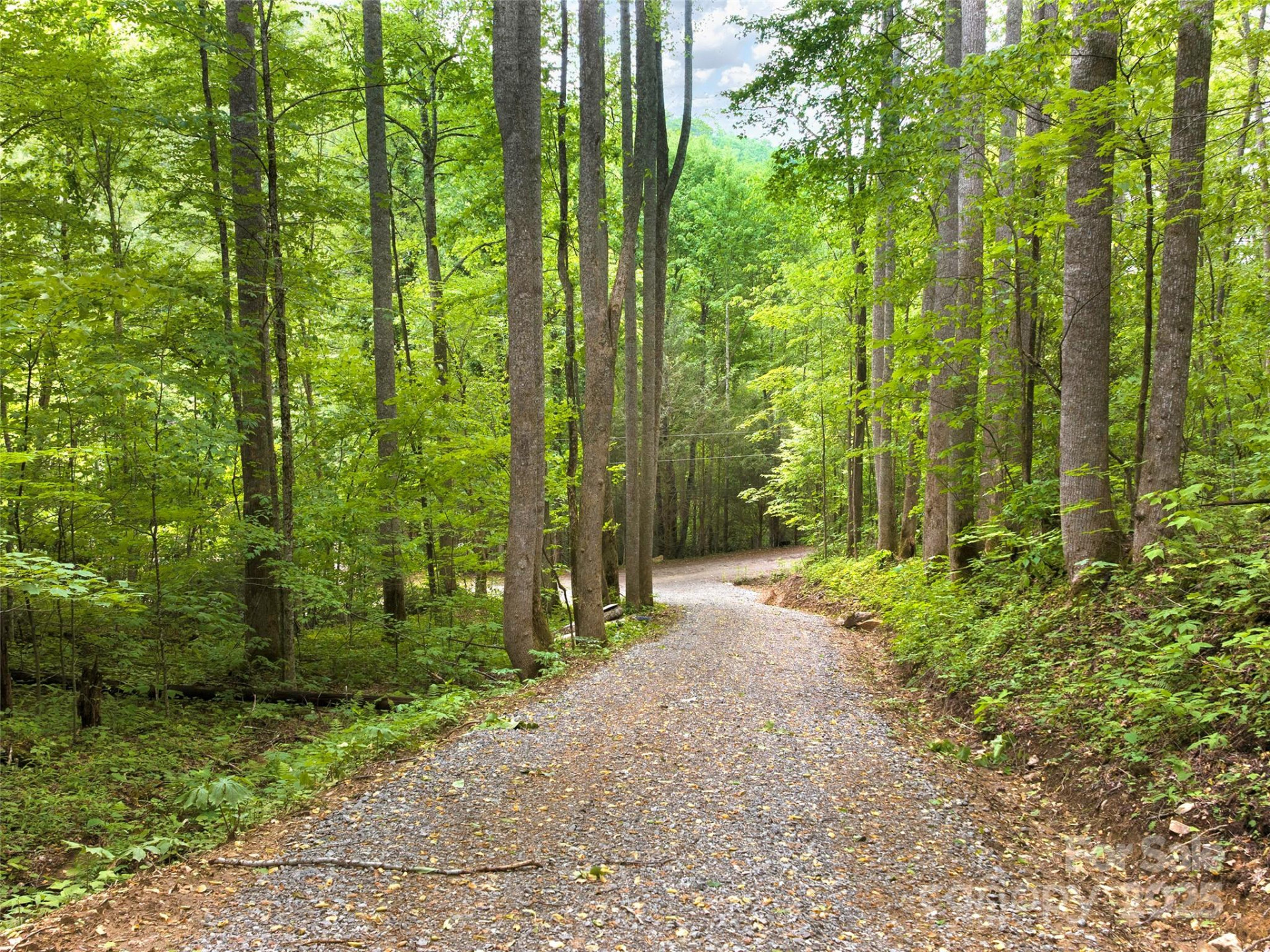 23 Forbidden Cove - Photo 4